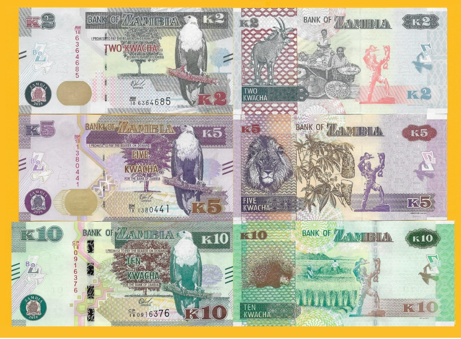 Zambia Set 2, 5, 10 Kwacha 2018 UNC Banknotes - Zambia