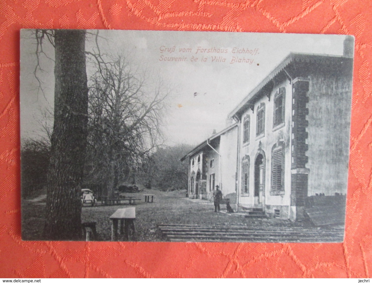 Gruss Vom Forsthaus Eichhof . Souvenir De La Villa Blahay . Carte Taxe Avec Timbre Taxe - Chateau Salins