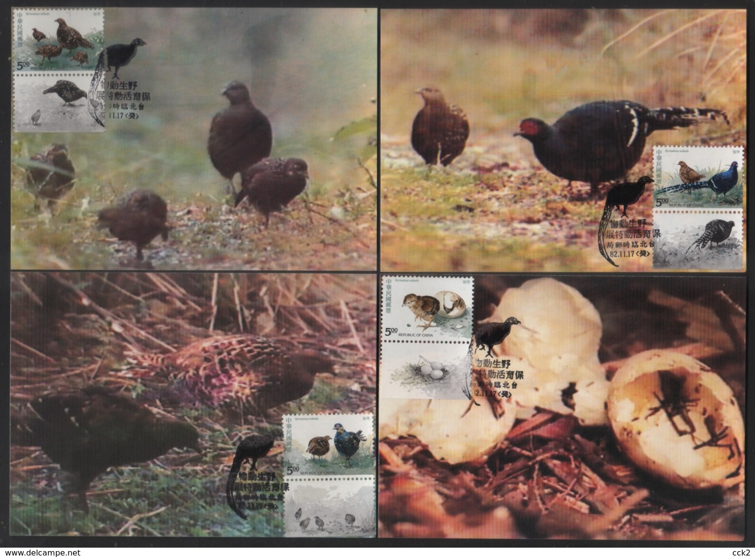 Taiwan(Formosa)- Carte Maximum Card –Taiwan Bird- Pheasant(4V) 1993 - Galline & Gallinaceo