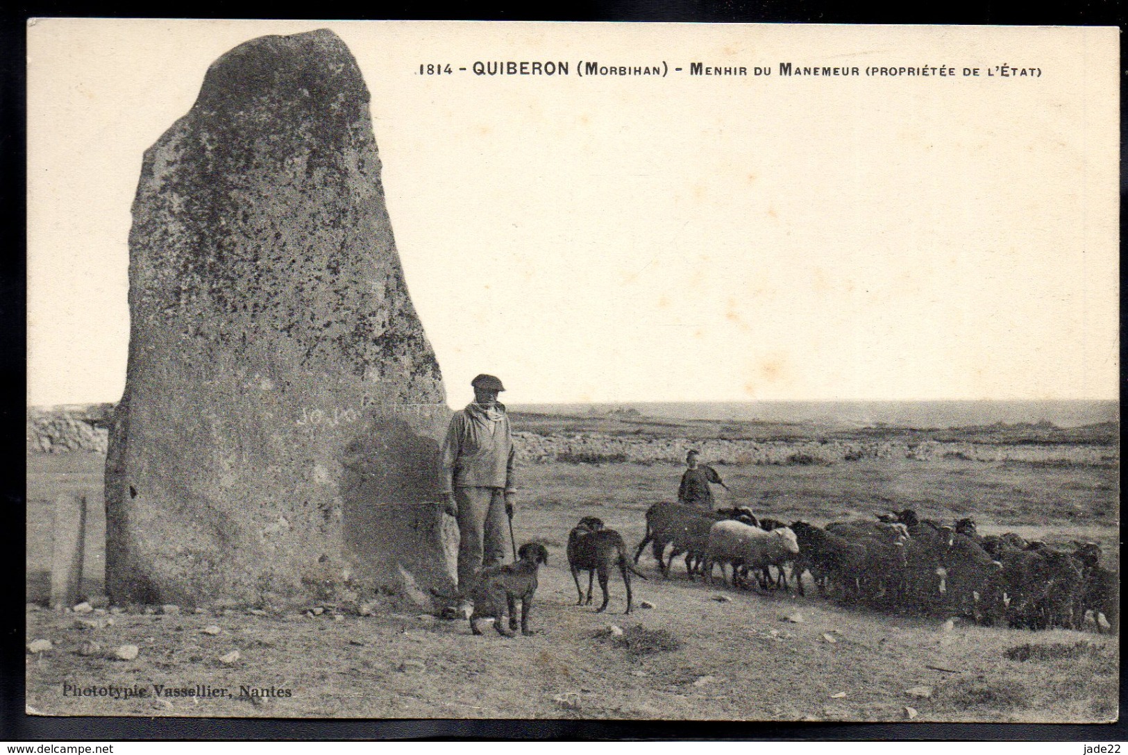 QUIBERON 56 - Menhir Du Manemeur - Berger Et Ses Moutons - A588 - Quiberon