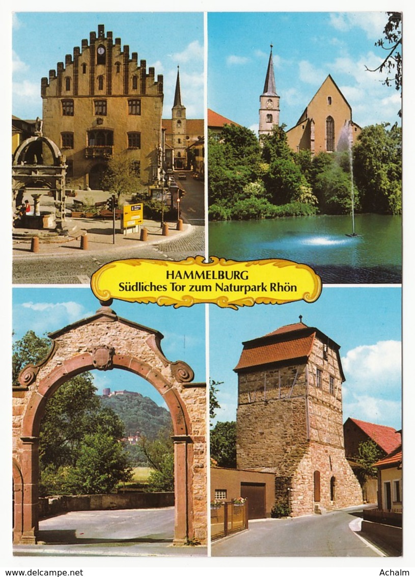 Hammelburg - Südliches Tor Zum Naturpark Rhön - 4 Ansichten - Hammelburg