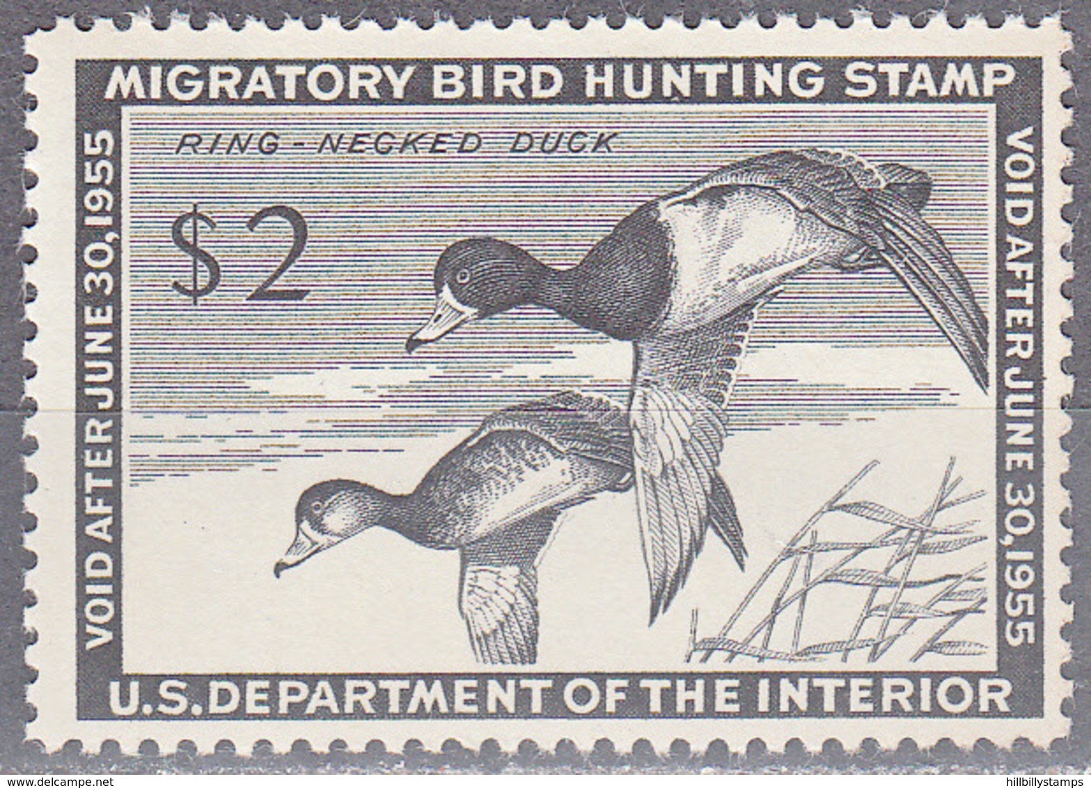 UNITED STATES     SCOTT NO RW21    MNH     YEAR  1954 - Duck Stamps