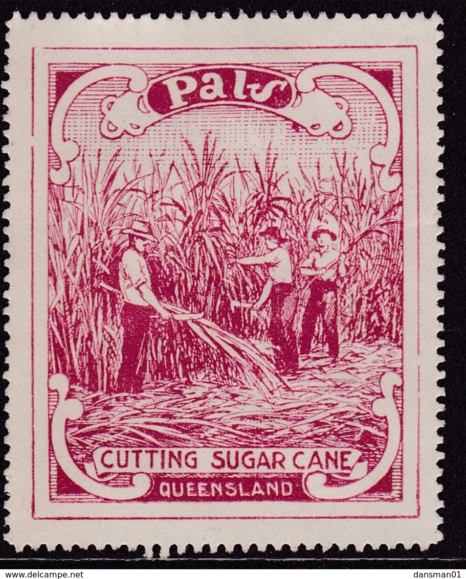 Australia 1920's PALS Label Queensland No Gum - Werbemarken, Vignetten