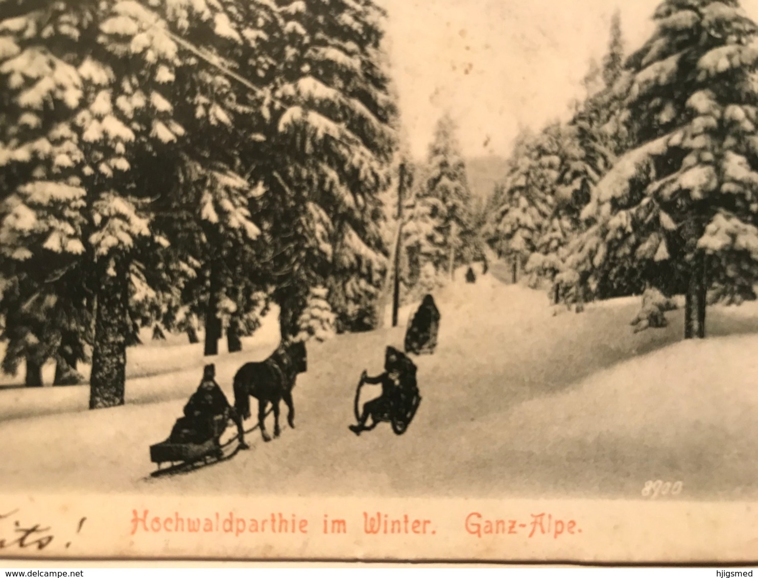 Austria Österreich Mürzzuschlag Hörner Schlittenfahrt Ski Traineau Winter Snow Alps 11634 Post Card Postkarte POSTCARD - Mürzzuschlag