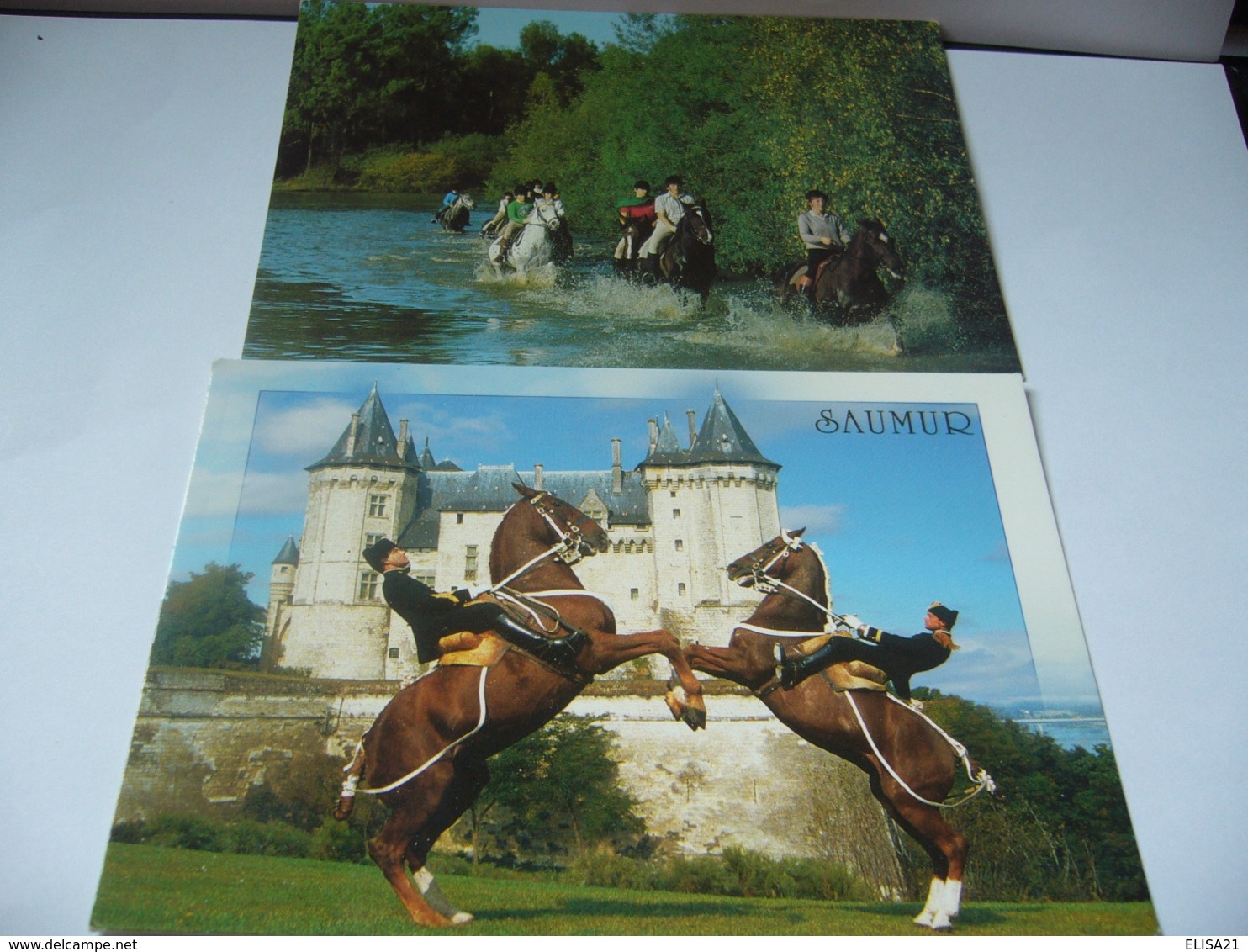 LOT DE 10 CPM  THÈME CHEVAUX ET CAVALIERS  LOT NUMÉRO 6 - 5 - 99 Cartes