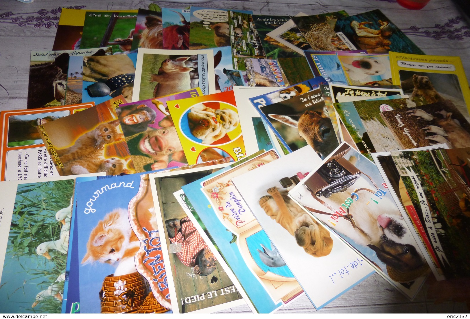 LOT DE 70 CARTES ..ANIMAUX HUMORISTIQUES - 5 - 99 Postcards