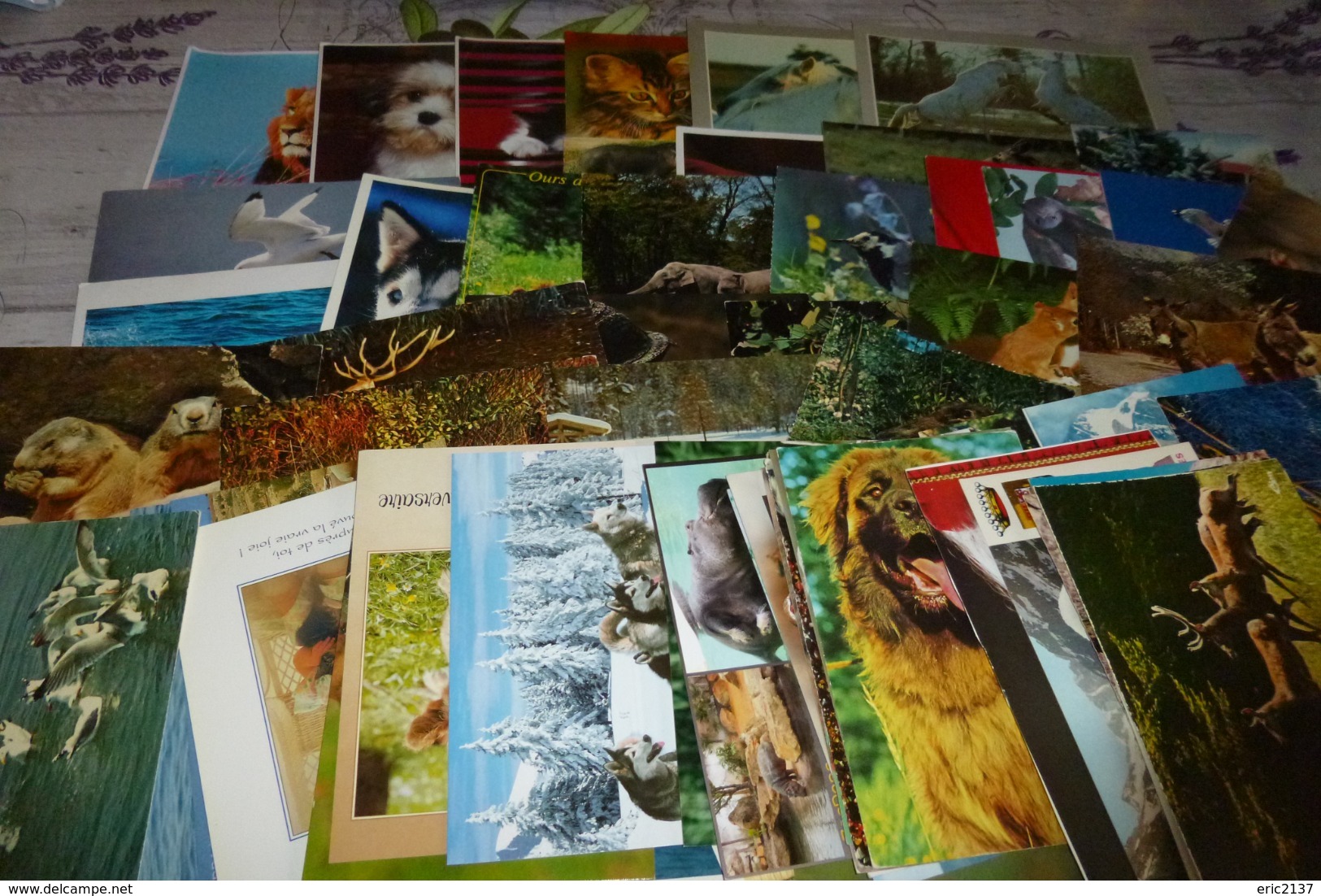 LOT DE 65 CARTES ..ANIMAUX - 5 - 99 Cartoline