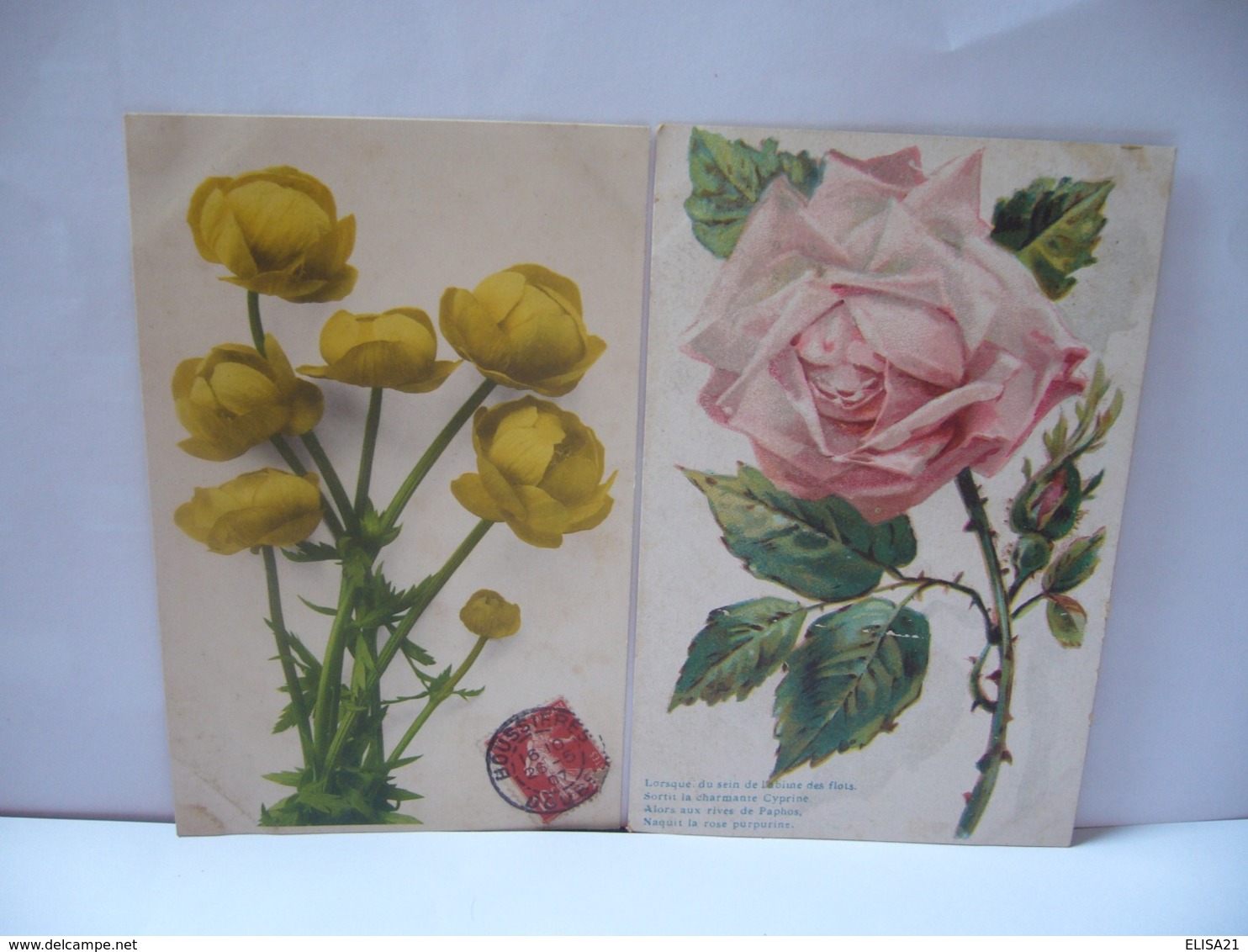 LOT DE 10 CPA ILLUSTRATIONS THÈME NATURE FLEURS LOT NUMÉRO 11 - 5 - 99 Postcards