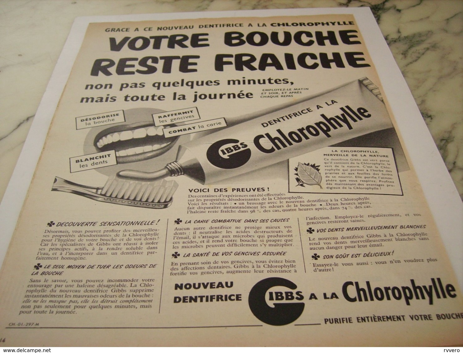 ANCIENNE PUBLICITE DENTIFRICE A LA CHLOROPHYLLE GIBBS  1952 - Autres & Non Classés