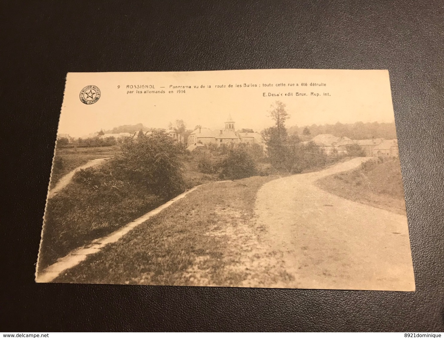 ROSSIGNOL : Panorama Vu De La Route De Les Bulles (Tintigny) - Tintigny