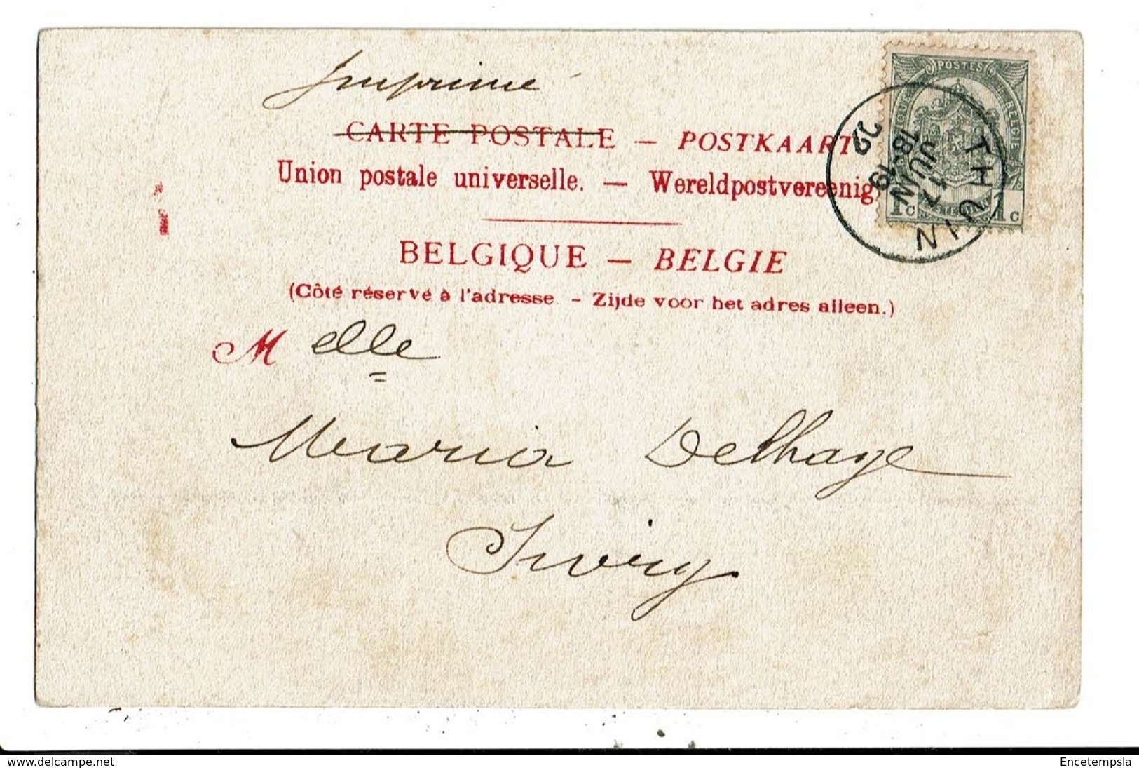 CPA-Carte Postale Belgique- Thuin- Vue D'ensemble En 1902 -VM8479 - Thuin