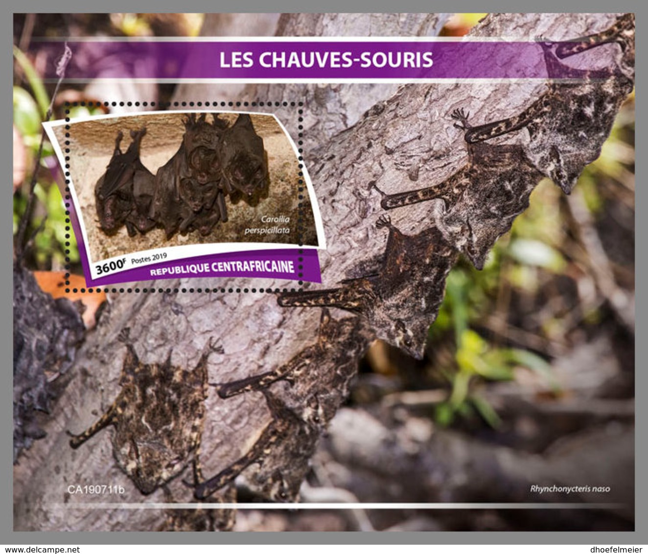 CENTRALAFRICA 2019 MNH Bats Fledermäuse Chauves-souris S/S - OFFICIAL ISSUE - DH1943 - Bats