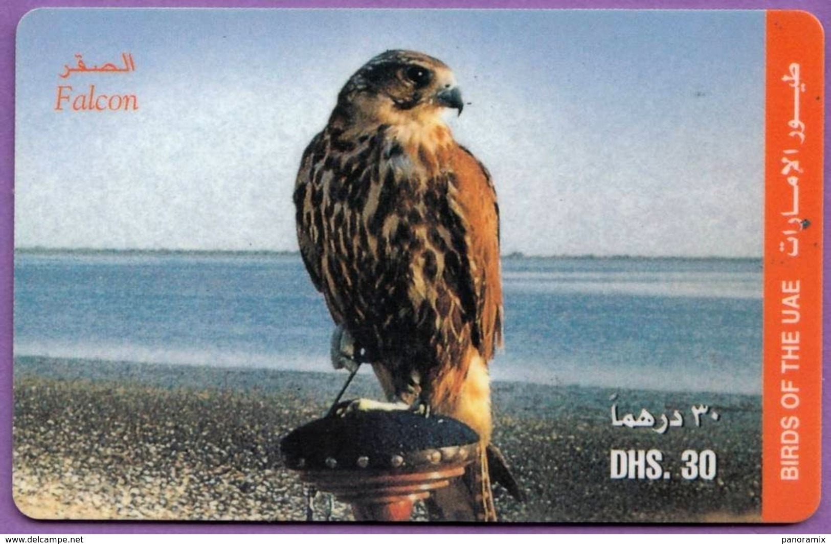 Telecarte °_ Emirats.UAE-oiseau-Falcon-Dhs30- R/V 4797 - Emirati Arabi Uniti