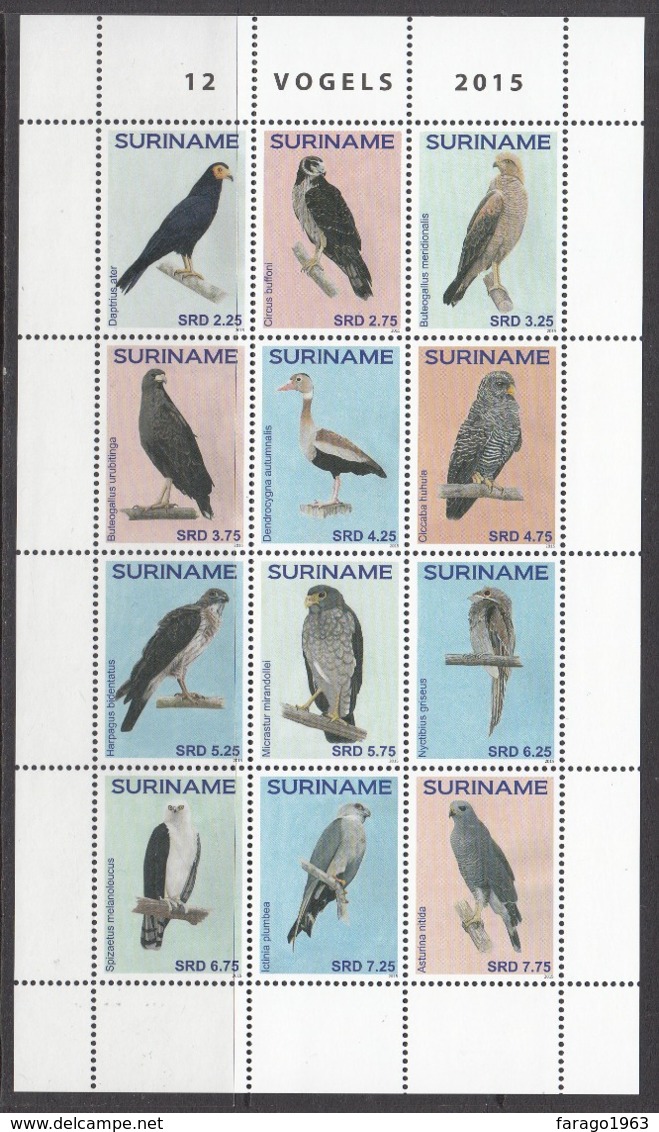2015 Surinam Suriname Birds Oiseaux  Complete Sheet Of 12 MNH - Suriname