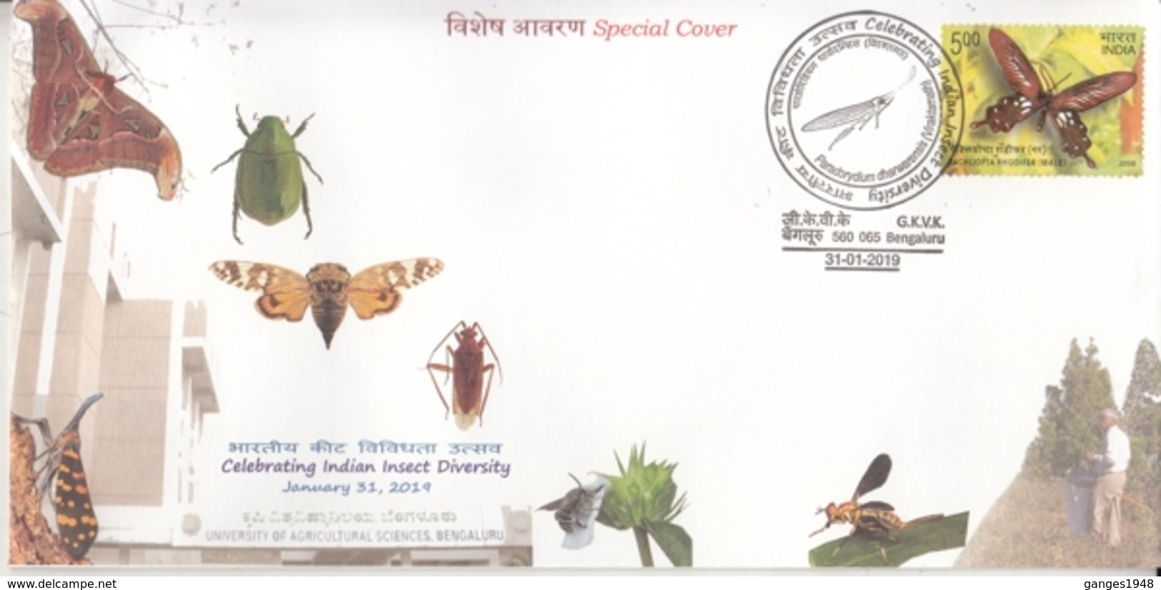 India 2019 Butterflies  Insects  Honey Bee Indian Insect Diversity Bangaluru  Special Cover # 18383  D India Inde Indien - Butterflies