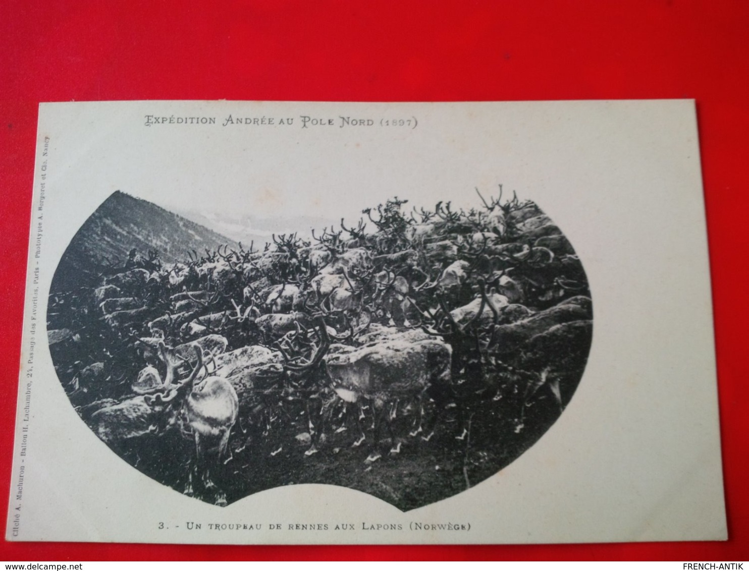 EXPEDITION ANDREE AU POLE NORD 1897 UN TROUPEAU DE RENNES AUX LAPONS NORWEGE - Other & Unclassified