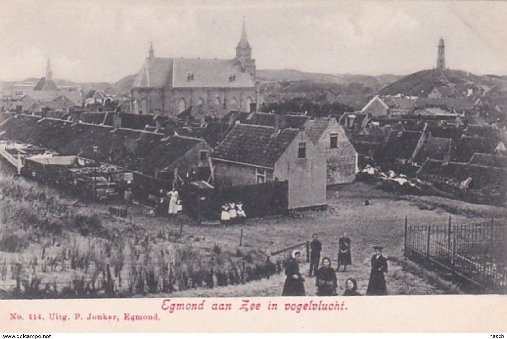 3575	350	Egmond Aan Zee,  In Vogelvlucht 1909 - Egmond Aan Zee