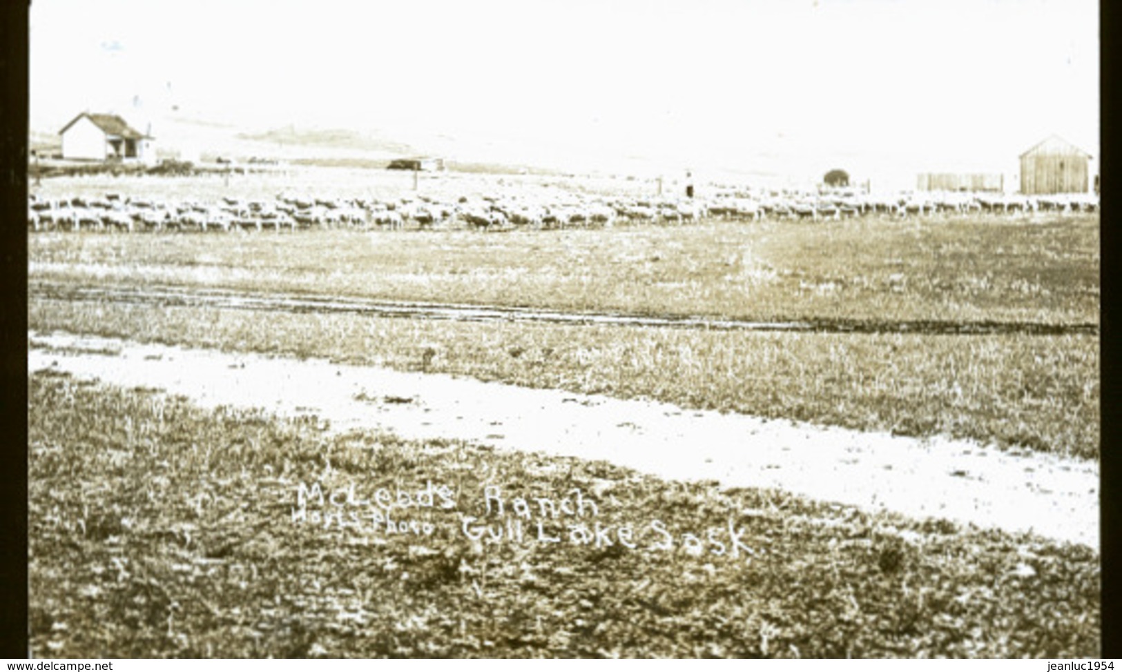 CANADA SHAUNAVON  EN 1922    PHOTO CARTE LE RANCH - Autres & Non Classés