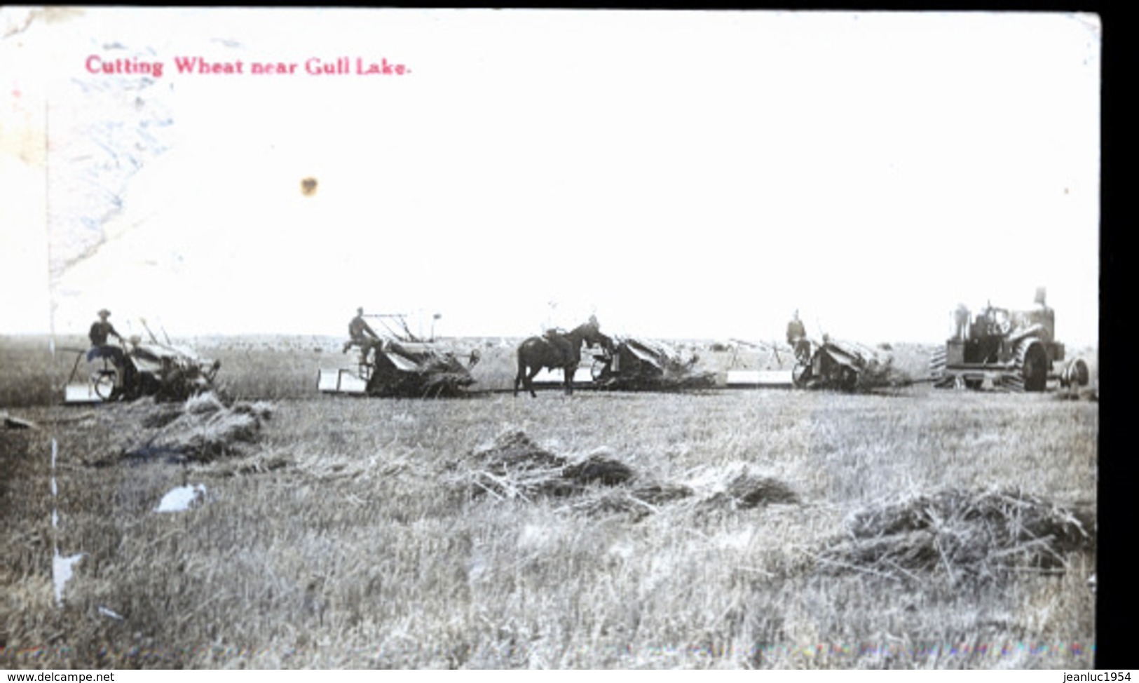 CANADA SHAUNAVON  EN 1922    PHOTO CARTE MOISSONNEUSES GULL LAKE - Andere & Zonder Classificatie