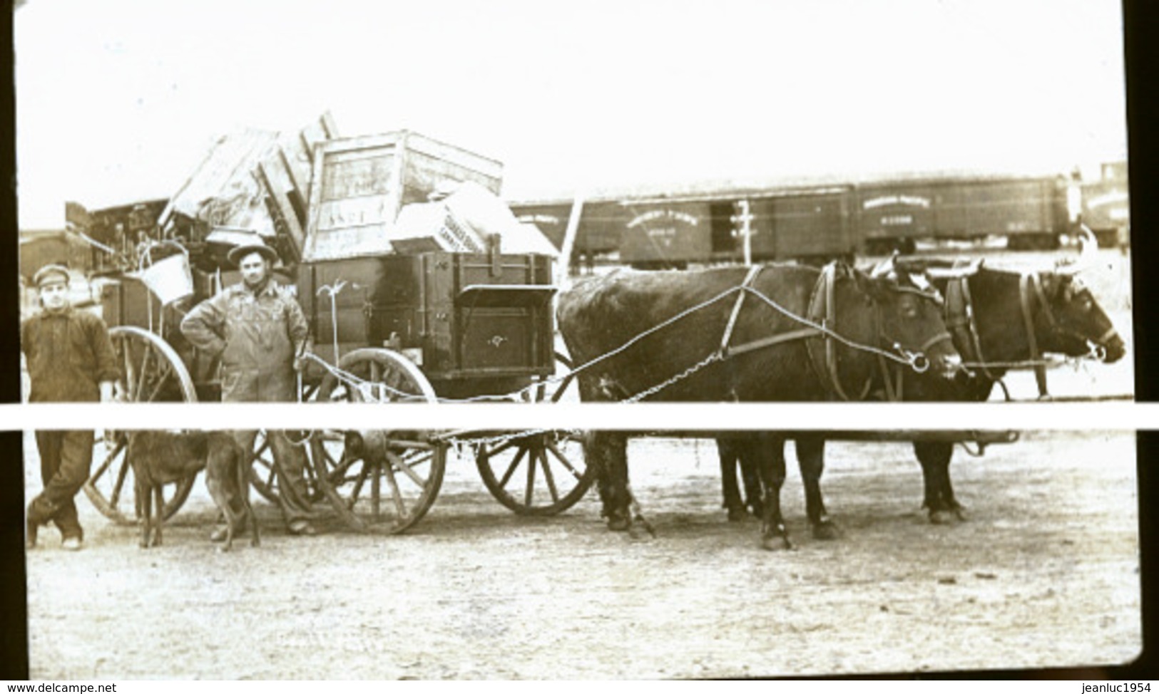 CANADA SHAUNAVON  EN 1922  PHOTO CARTE LA GARE ET ATTELAGE  ///// TRAIT ANTI COPIE - Altri & Non Classificati