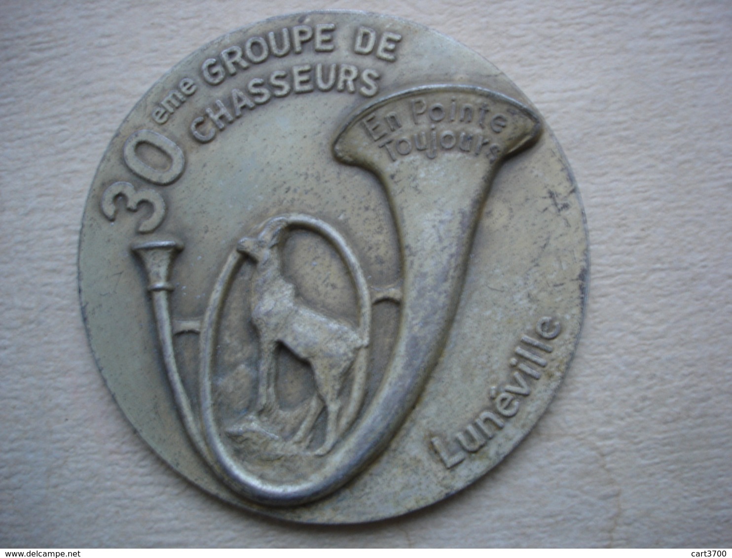 MEDAILLE 30EME GROUPE DE CHASSEURS LUNEVILLE - Frankrijk