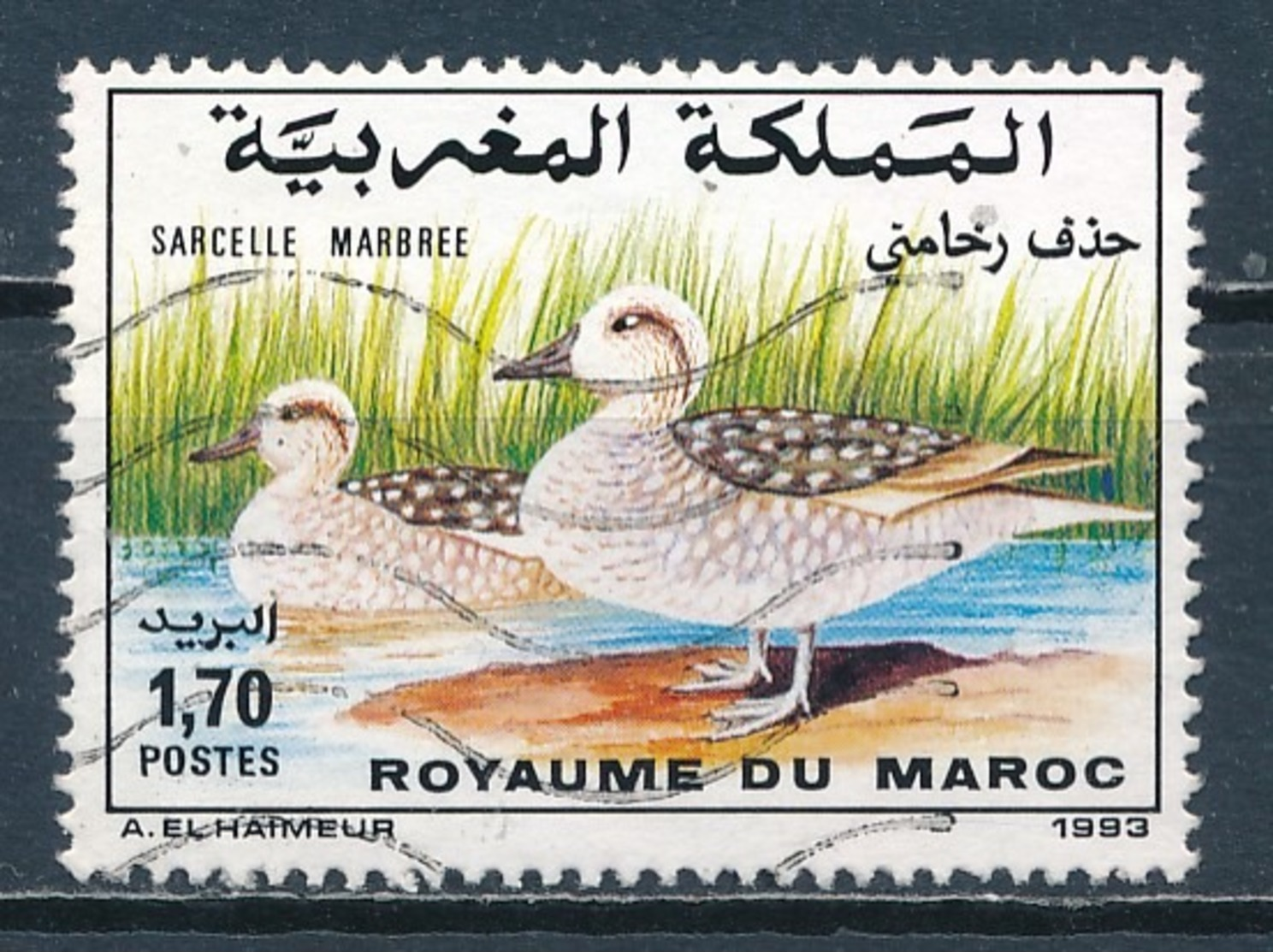 °°° MAROC - Y&T N°1151 - 1993 °°° - Marruecos (1956-...)