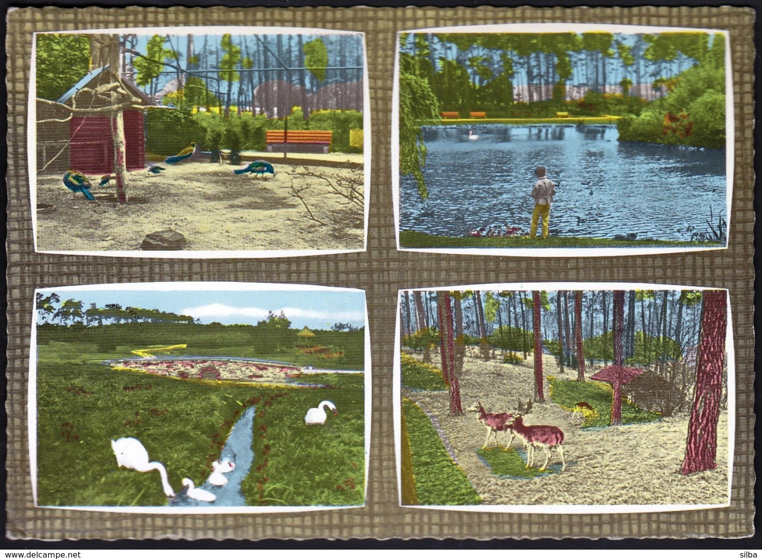 Germany Russelsheim 1967 / Ostpark / Animals, Peacock, Swan, Deer, Roe Deer - Ruesselsheim