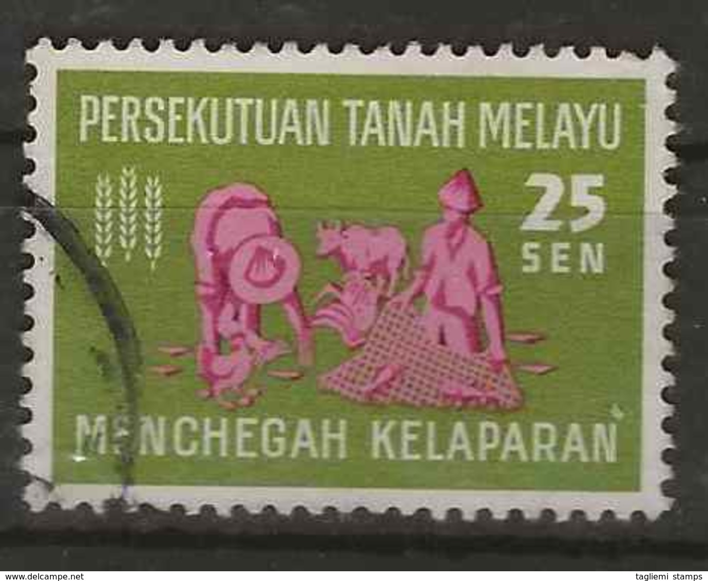 Malaysia - Federation Of Malaysia, 1963, SG 32, Used - Federation Of Malaya