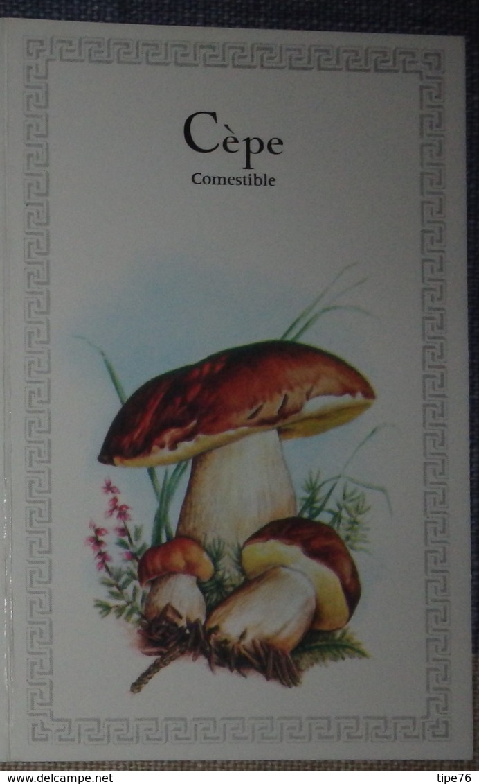 Petit Calendrier De Poche 1987 Champignon  Création Engelhard Angouleme - Cèpe   - Pharmacie Ploudaniel - Tamaño Pequeño : 1981-90