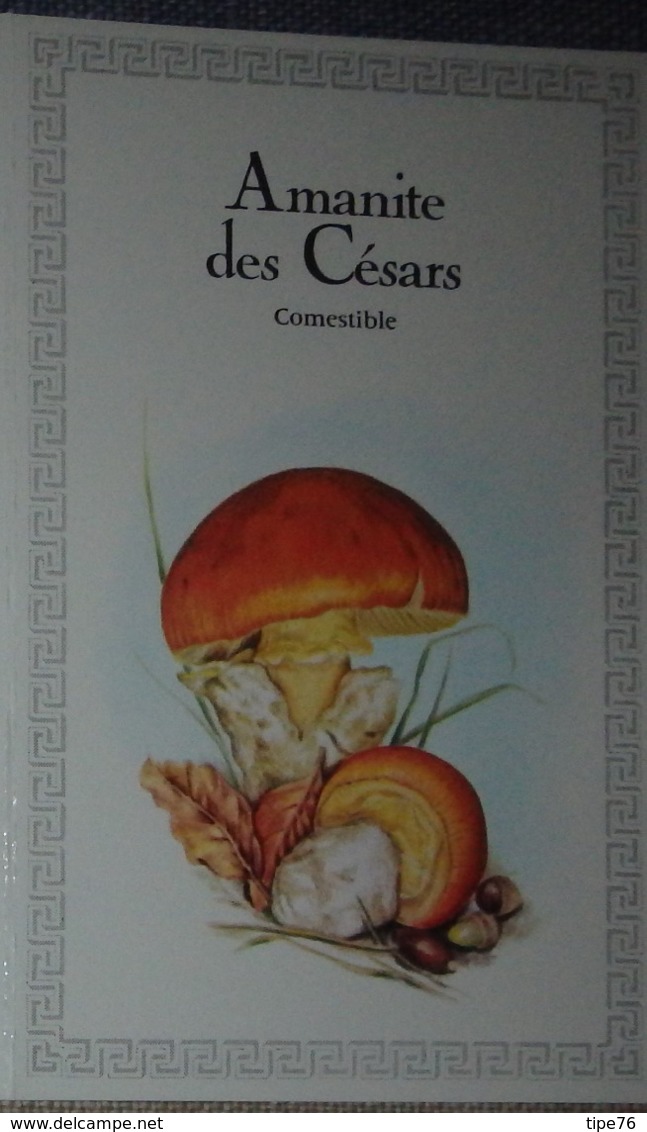 Petit Calendrier Poche 1983 Champignon  Création Engelhard Angouleme - Amanite Des Césars - Pharmacie Vaison La Romaine - Tamaño Pequeño : 1981-90