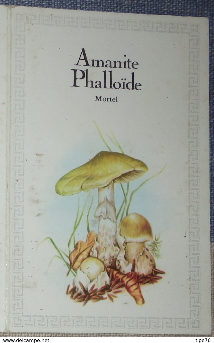 Petit Calendrier Poche 1983 Champignon  Création Engelhard Angouleme - Amanite Phalloide - Pharmacie - Tamaño Pequeño : 1981-90