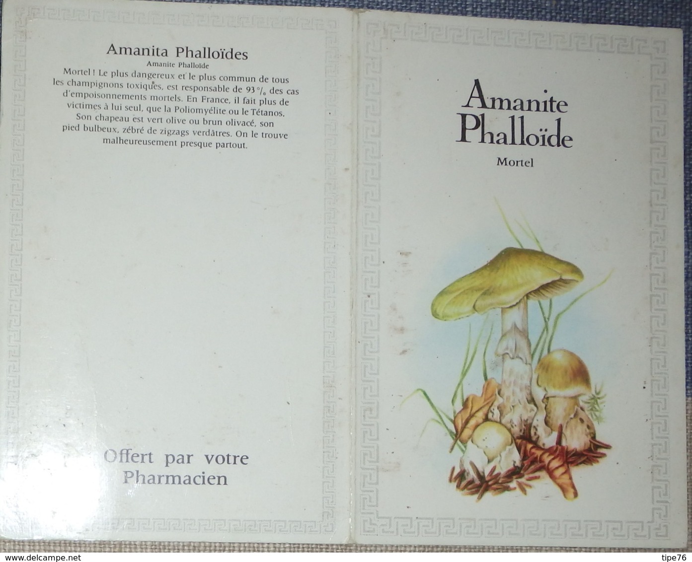 Petit Calendrier Poche 1983 Champignon  Création Engelhard Angouleme - Amanite Phalloide - Pharmacie - Tamaño Pequeño : 1981-90