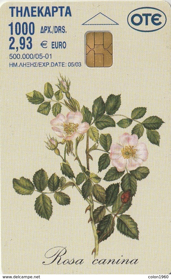 GRECIA. X1106. FLOWERS. Museum 'Goulandris' For The History Of Nature 8 (Rosa Canina). 05/2001. (078). - Blumen