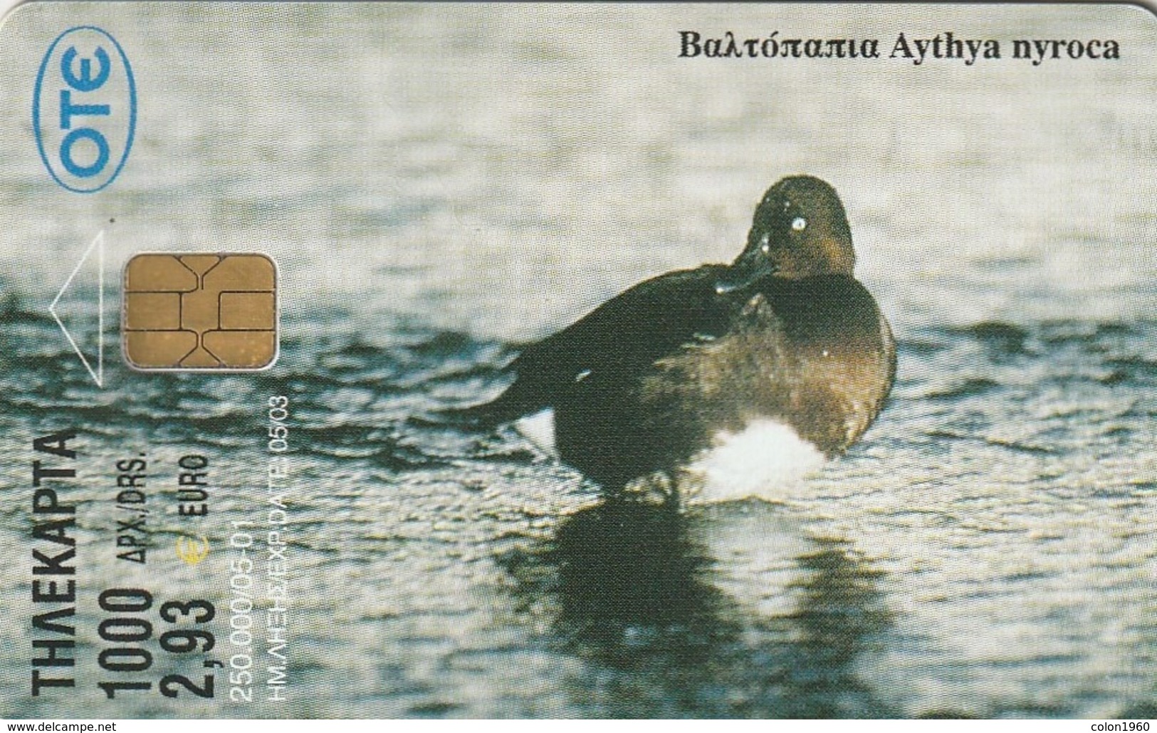 GRECIA. X1122. PATOS. Ferruginous Duck, Aythia Nyroca. 05/2001. (107). - Otros & Sin Clasificación