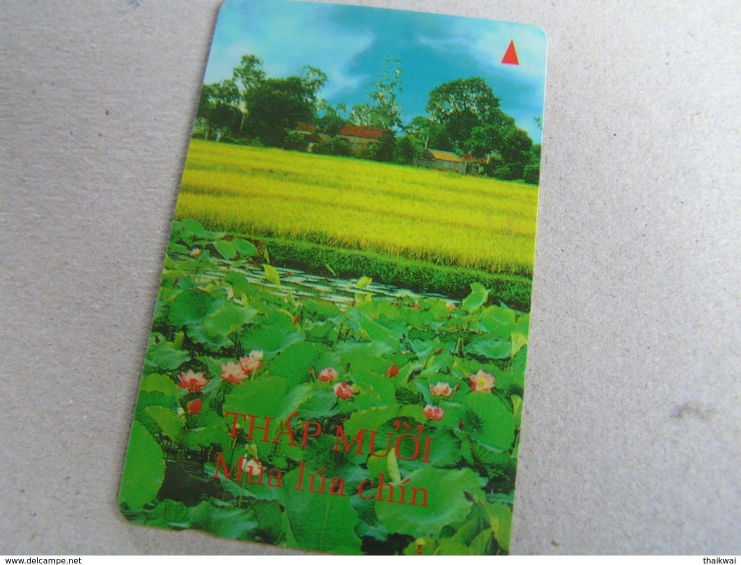 VIETNAM Used GPT Card   5UPVA Water Lily And Rice Gowing - Vietnam