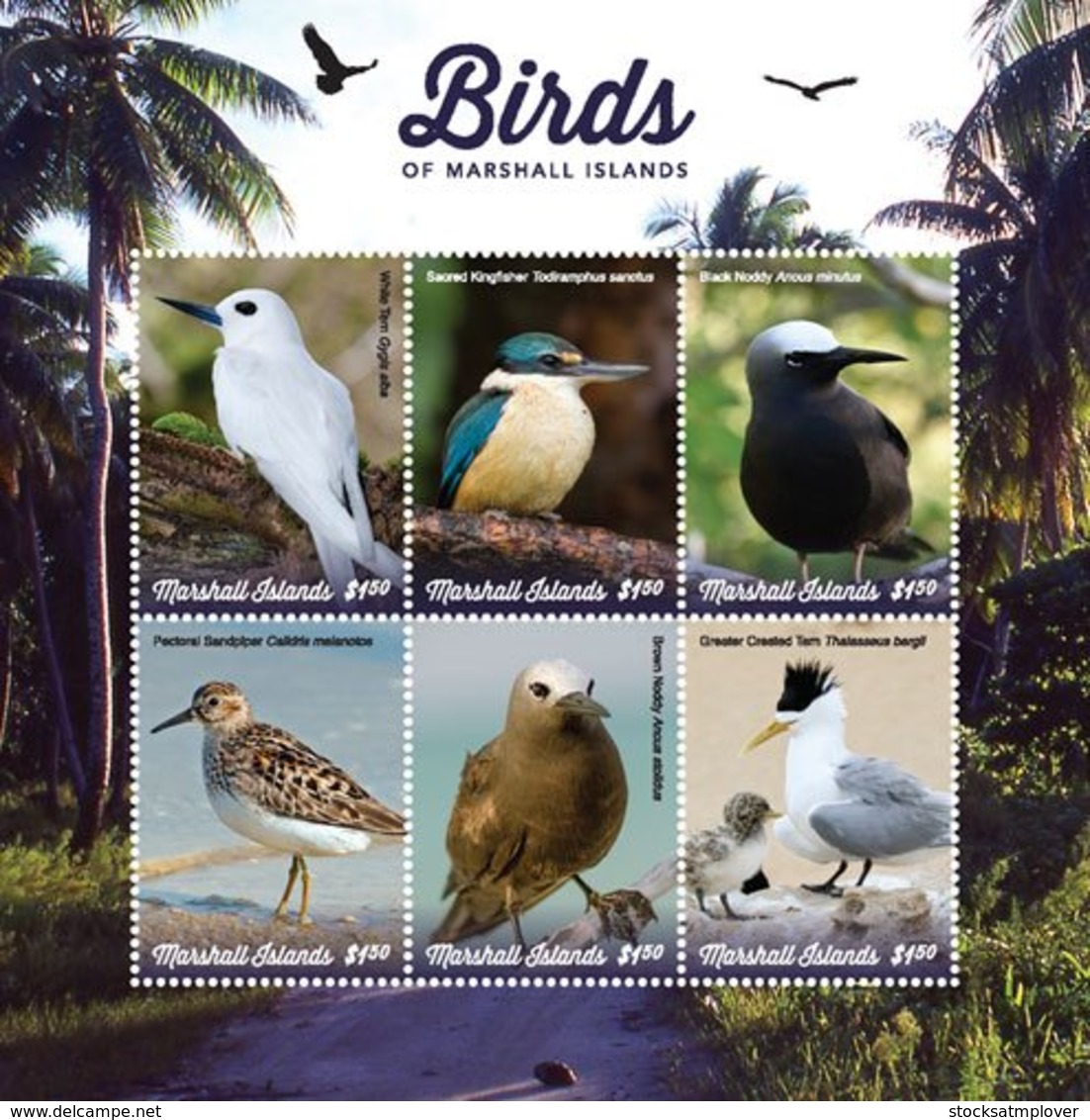 Marshall Islands   2019  Fauna  Birds Of Marshall Islands  I201901 - Marshall