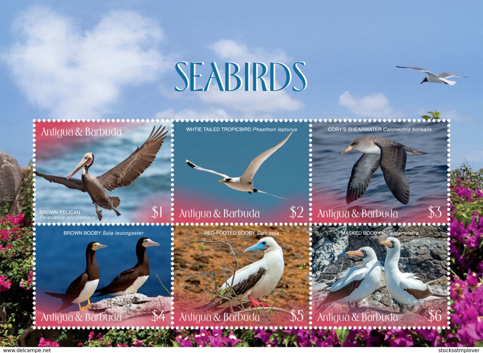 Antigua And Barbuda 2019 Fauna  Seabirds  I201901 - Antigua And Barbuda (1981-...)