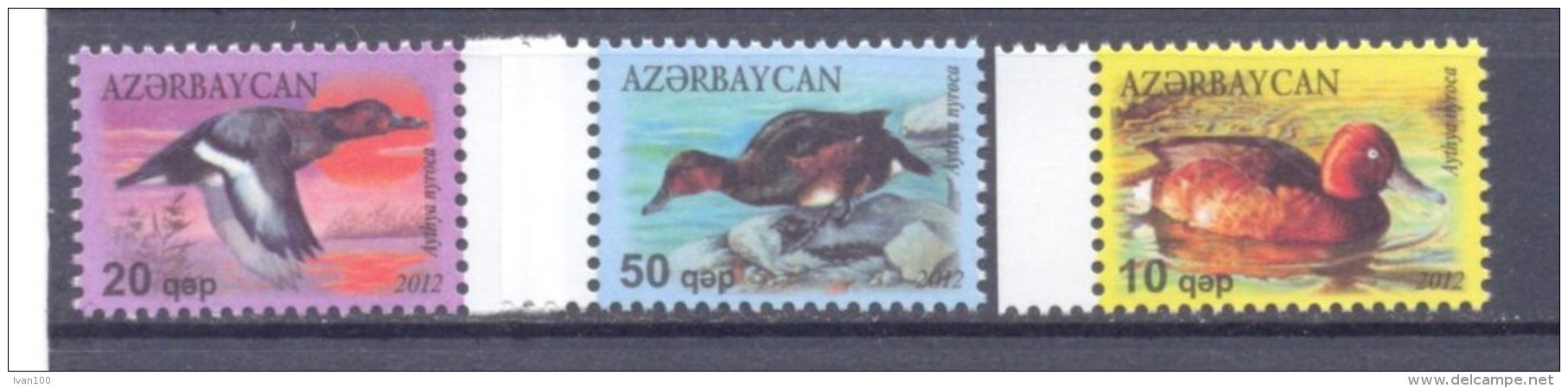 2012. Azerbaijan, Birds, Ferruginous Duck, 3v,  Mint/** - Azerbeidzjan