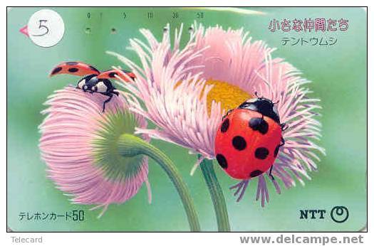 COCCINELLE KÄFER  Lieveheersbeestje LADYBIRD Telecarte (5) - Mariquitas