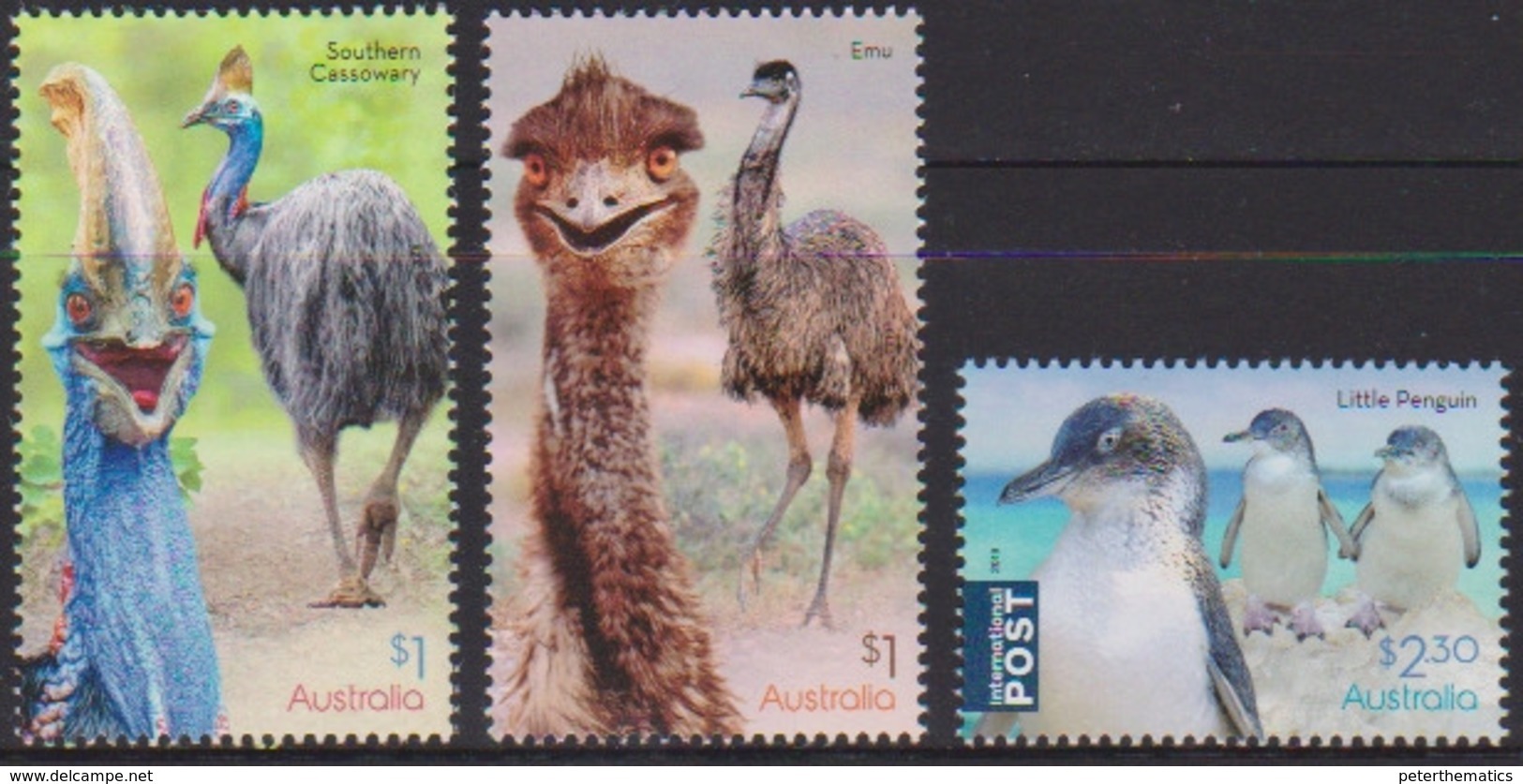 AUSTRALIA, 2019, MNH,BIRDS, FLIGHTLESS BIRDS, PENGUINS, CASSOWARIES, 3v - Pingouins & Manchots