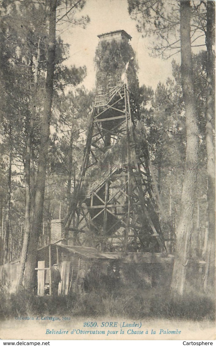 CPA 40 Landes Sore Belvedère D'Observation Pour La Chasse à La Palombe - Sore