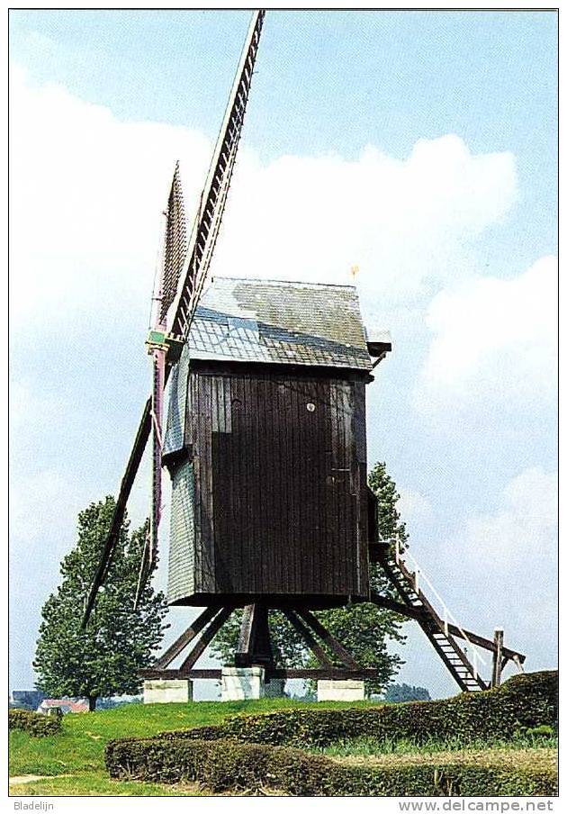 OOSTERZELE (O.Vl.) - Molen/moulin - Historische Opname Van De Gewezen Vinkemolen Enkele Jaren Voordat Hij Omwaaide - Oosterzele
