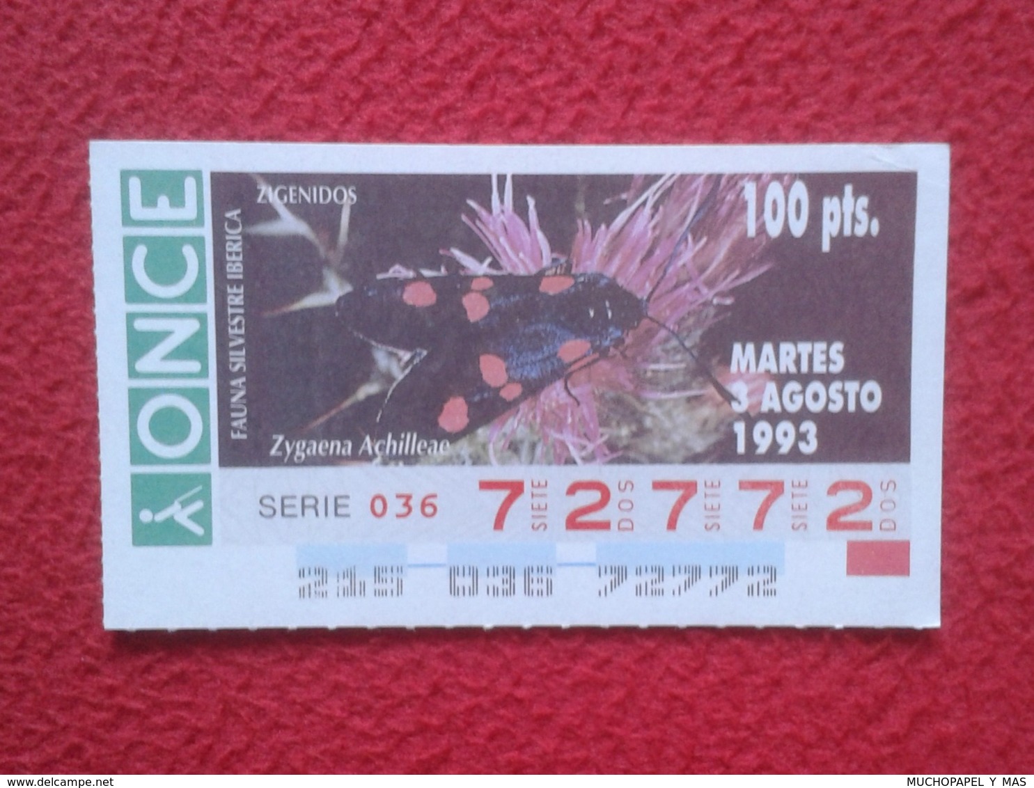 CUPÓN DE ONCE 1993 LOTTERY LOTERIE SPAIN LOTERÍA FAUNA FAUNE IBÉRICA MARIPOSA BUTTERFLY PAPILLON ZYGAENA ACHILLEAE VER - Billetes De Lotería