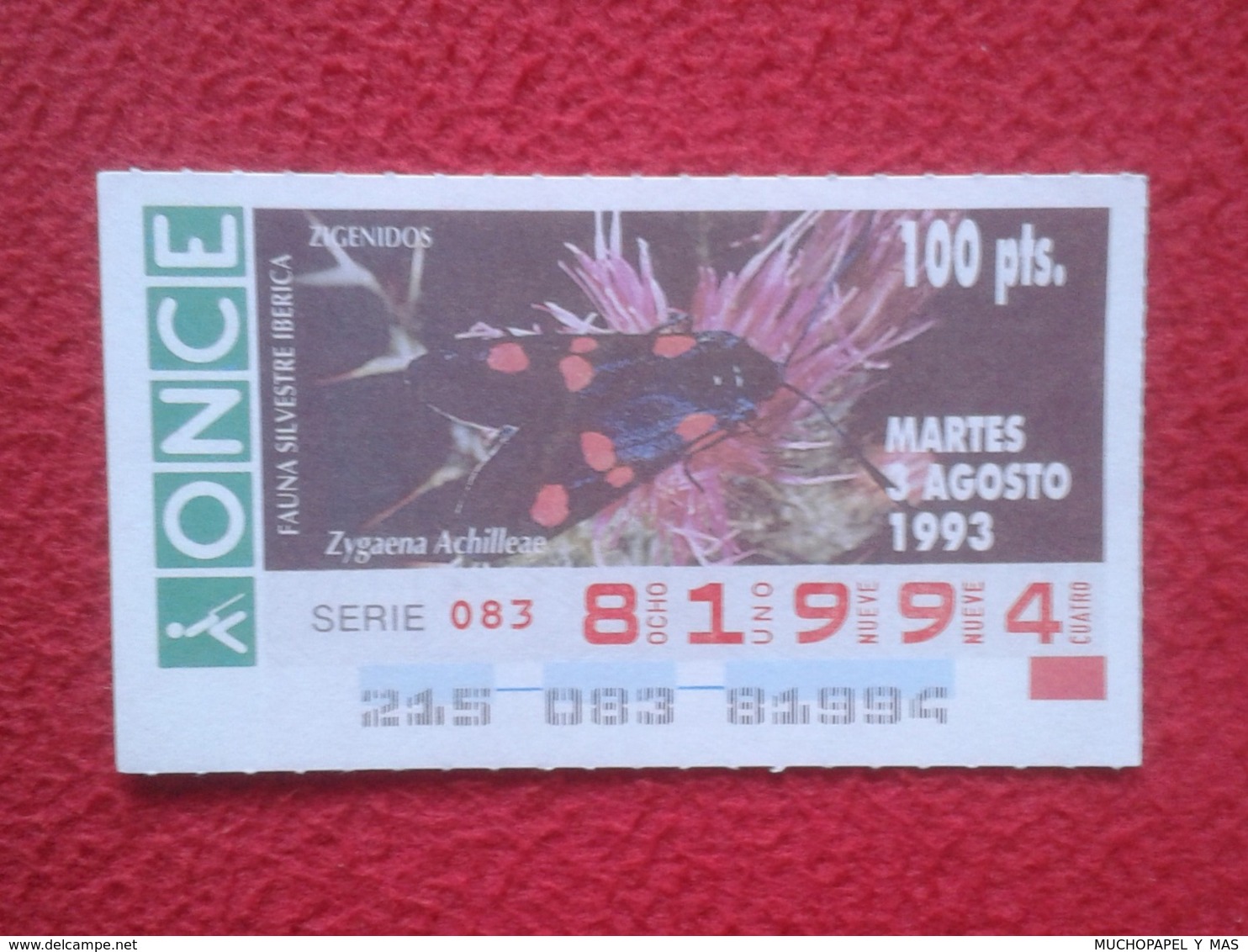 CUPÓN DE ONCE 1993 LOTTERY LOTERIE SPAIN LOTERÍA FAUNA FAUNE IBÉRICA MARIPOSA BUTTERFLY PAPILLON ZYGAENA ACHILLEAE VER - Billetes De Lotería