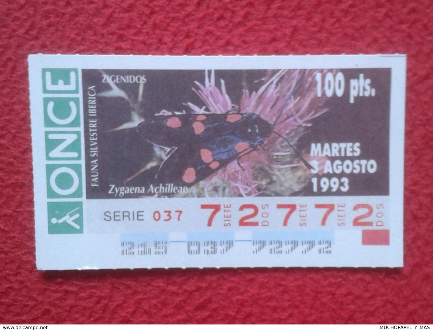 CUPÓN DE ONCE 1993 LOTTERY LOTERIE SPAIN LOTERÍA FAUNA FAUNE IBÉRICA MARIPOSA BUTTERFLY PAPILLON ZYGAENA ACHILLEAE VER - Billetes De Lotería