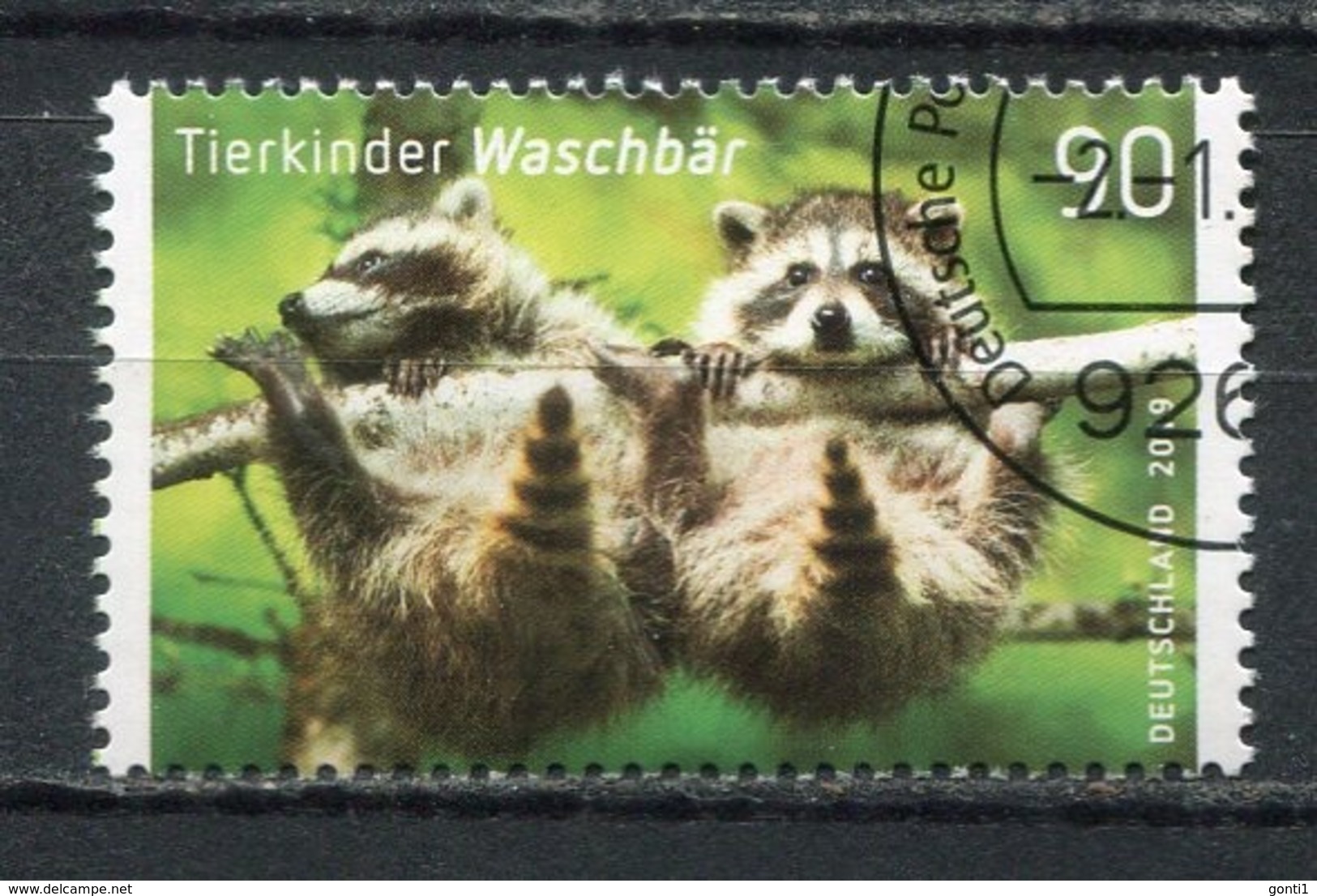 Germany,Allemagne  2019 Michel .Nr .3434 "Tierkinder-Waschbären   " 1 Wert Used - Nager
