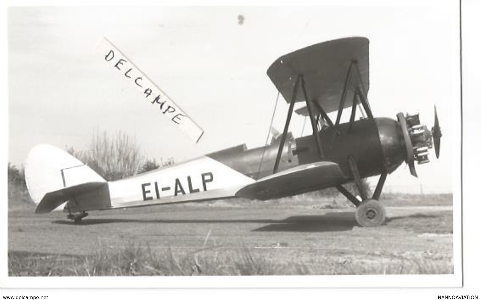 PHOTO AVION AVRO  643 Cadet EI-ALP  13X8CM - Aviación