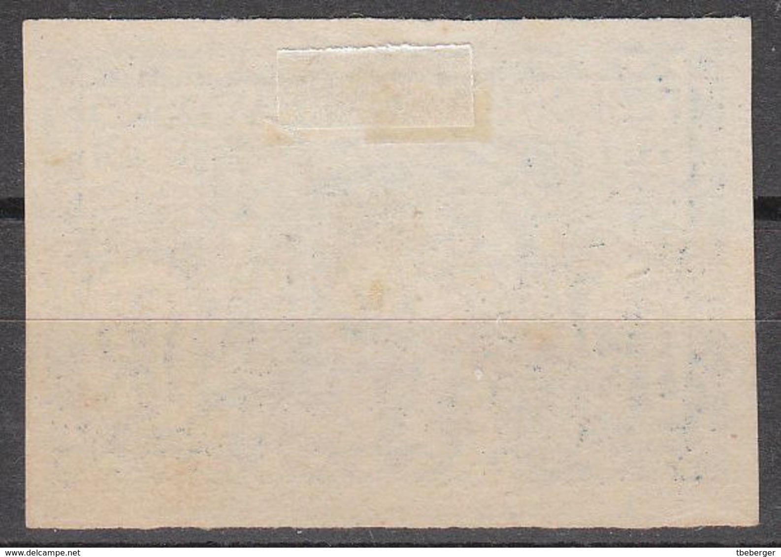 Czechoslovak Legion In Russia 1919 Irkutsk Issue Unissued Essay Observing Soldier In Siberia In Blue (t48) - Legión Checoslovaca En Siberia