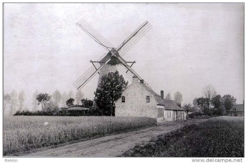 GELUWE Bij Wervik (W.Vl.) - Molen/moulin - De Verdwenen Molen Goemaere Tijdens 1914-1918 (Duitse Opname). Maxikaart - Wervik