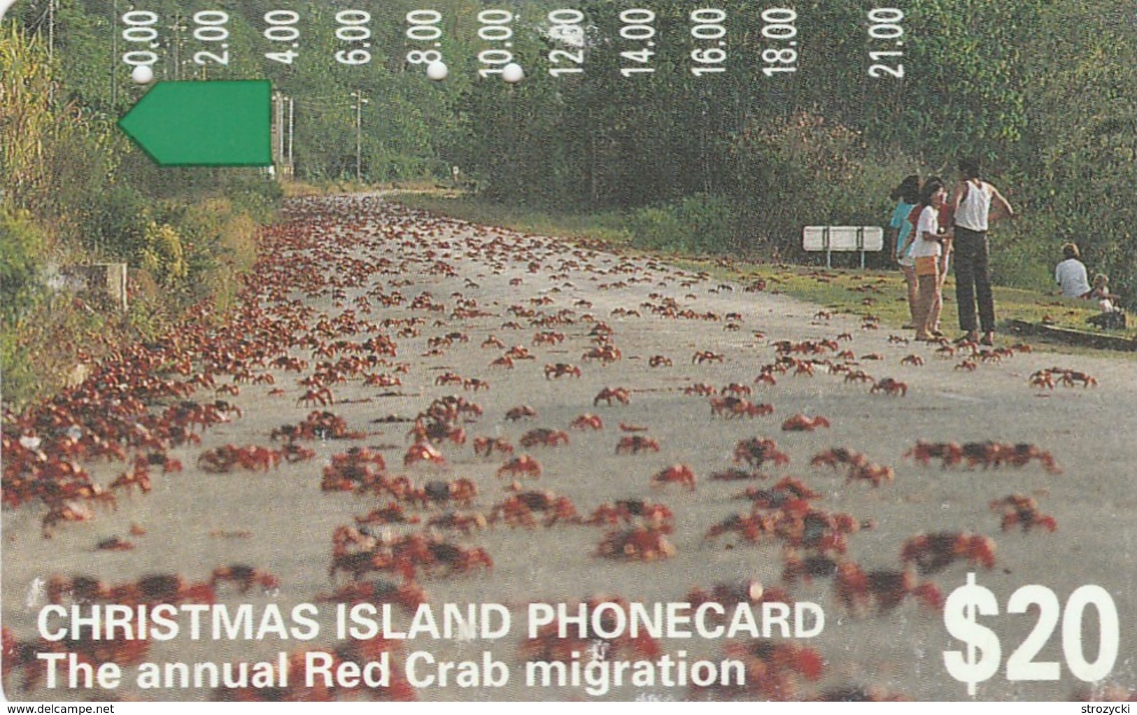 Christmas Island - The Annual Red Crab Migration - Christmaseiland